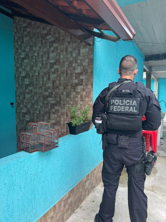 WhatsApp Image 2025-09-17 at 08.39.19.jpeg