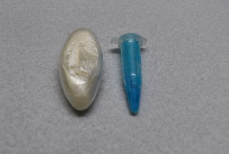 WhatsApp Image 2025-09-18 at 09.19.29.jpeg