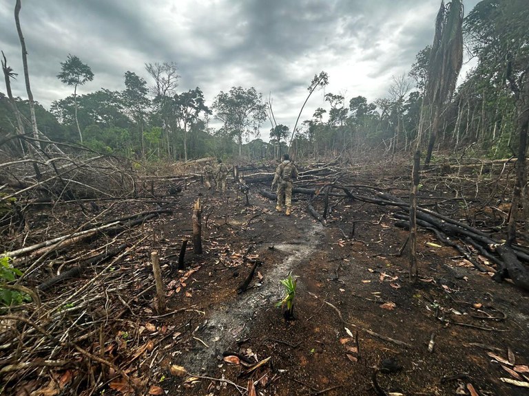 WhatsApp Image 2025-09-30 at 16.36.50.jpeg