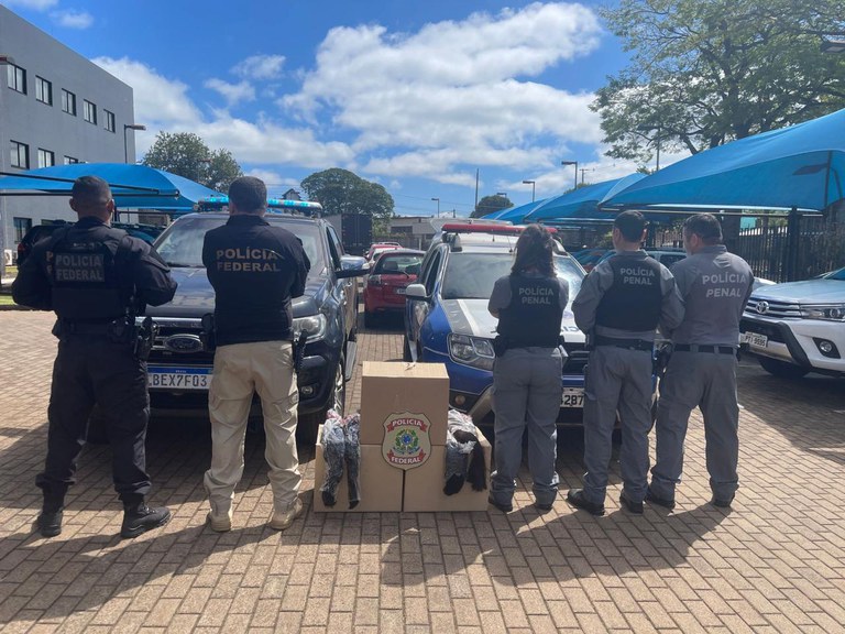 WhatsApp Image 2025-09-09 at 19.10.22.jpeg