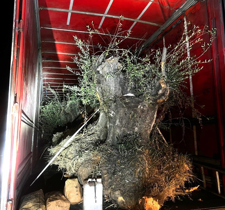 WhatsApp Image 2025-09-15 at 14.35.43.jpeg