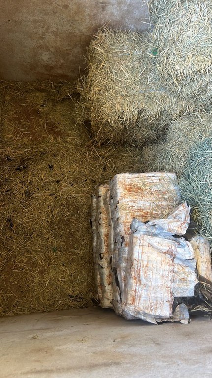 WhatsApp Image 2025-09-11 at 00.22.23 (1).jpeg