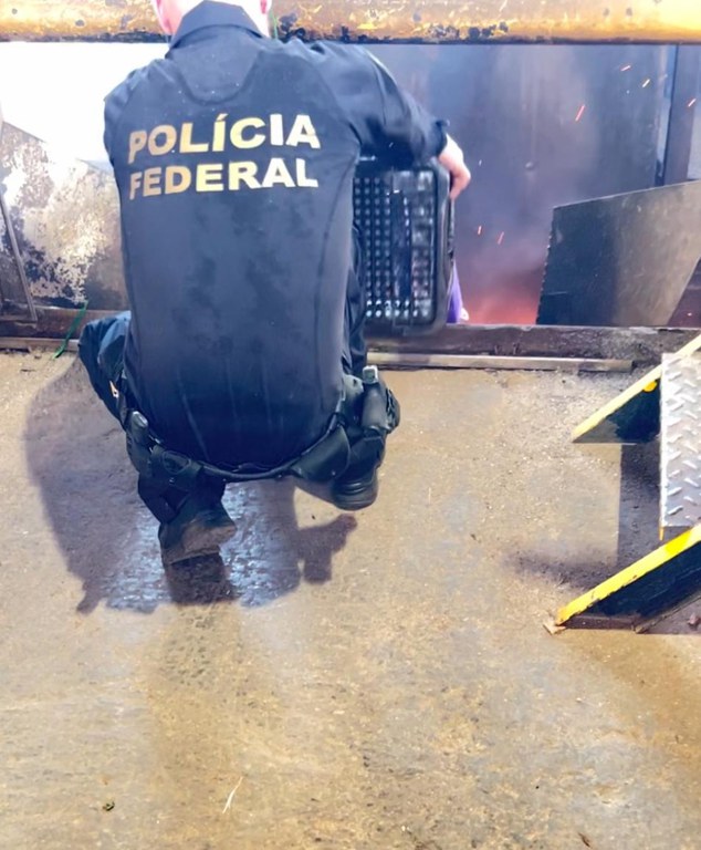 WhatsApp Image 2025-09-29 at 11.43.07.jpeg