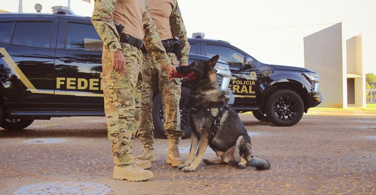 WhatsApp Image 2025-09-24 at 14.33.48.jpeg