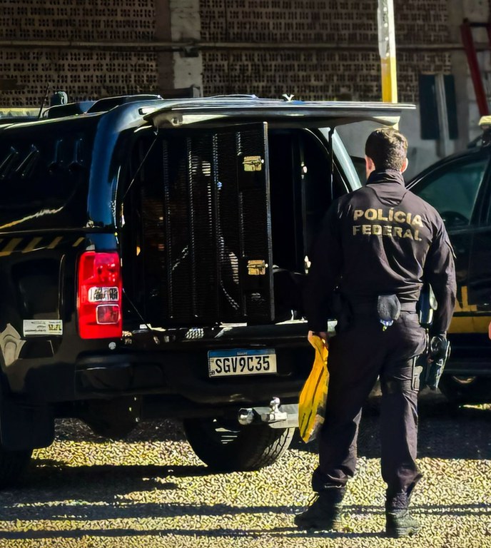 WhatsApp Image 2025-09-10 at 12.19.18.jpeg