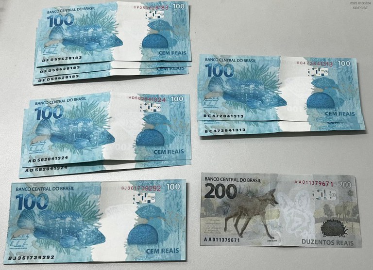 WhatsApp Image 2025-09-09 at 14.08.01.jpeg