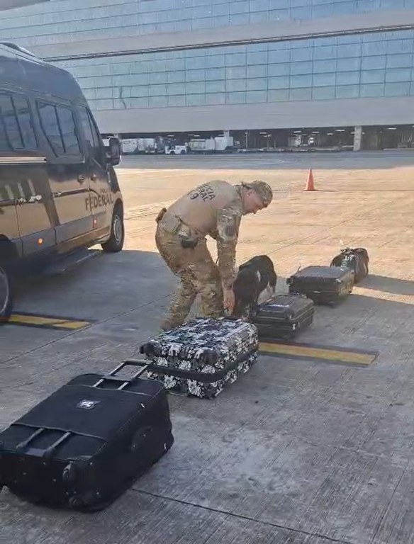 WhatsApp Image 2025-09-19 at 12.58.34.jpeg