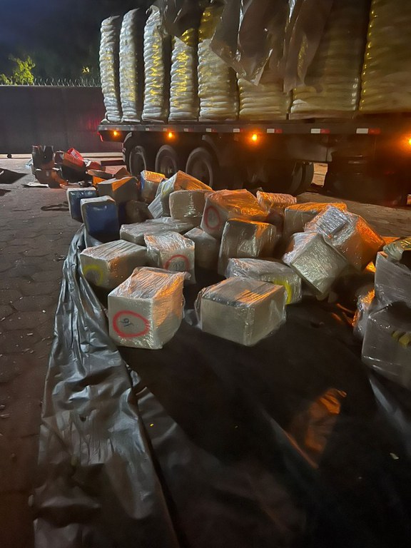 WhatsApp Image 2025-10-23 at 12.31.33.jpeg