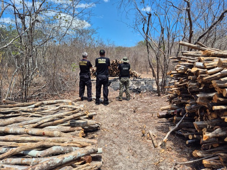 WhatsApp Image 2025-10-07 at 13.51.13.jpeg