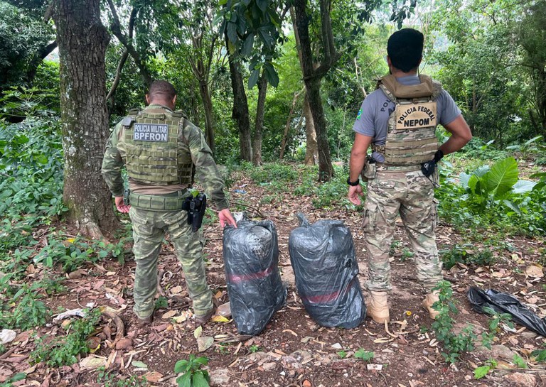 WhatsApp Image 2025-10-24 at 06.24.40.jpeg