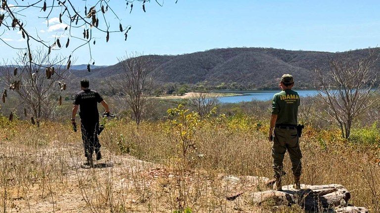 WhatsApp Image 2025-10-08 at 12.26.31.jpeg