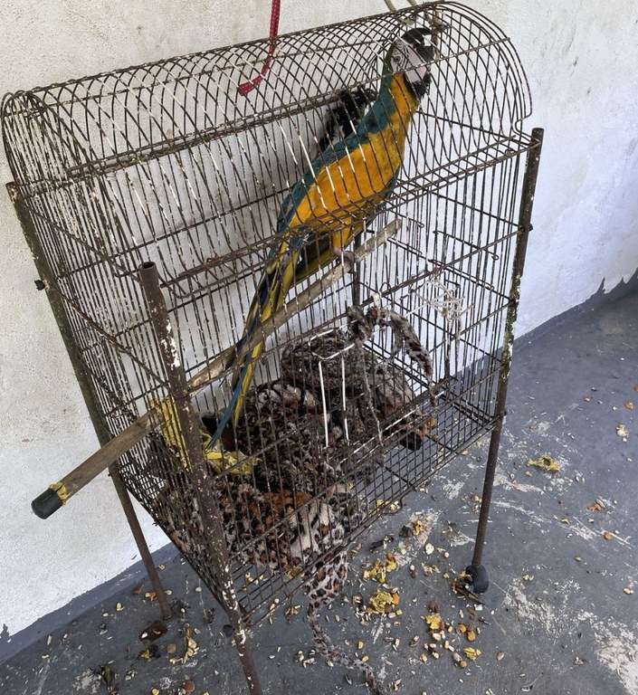 WhatsApp Image 2025-10-02 at 16.55.19.jpeg