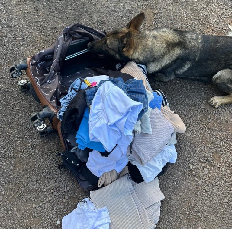 WhatsApp Image 2025-10-23 at 11.00.40 (1).jpeg