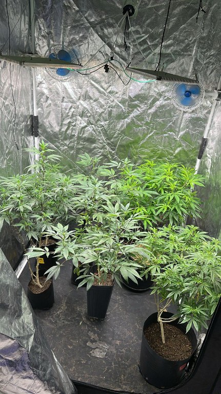 WhatsApp Image 2025-10-31 at 10.38.53.jpeg