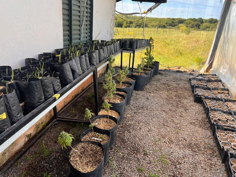 WhatsApp Image 2025-10-31 at 10.39.00.jpeg