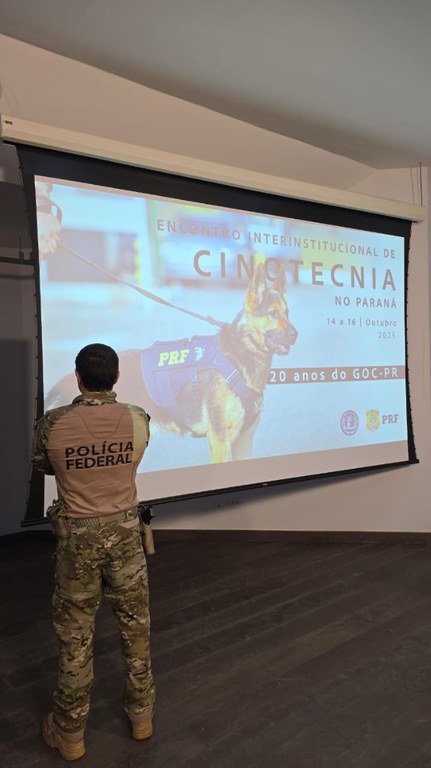 637f7e5a-5643-4b91-b1b2-b26f88644512.jfif