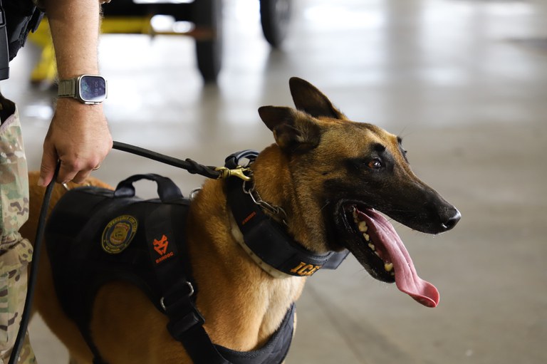 WhatsApp Image 2025-11-03 at 10.21.57.jpeg