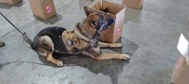 WhatsApp Image 2025-11-18 at 09.58.34.jpeg