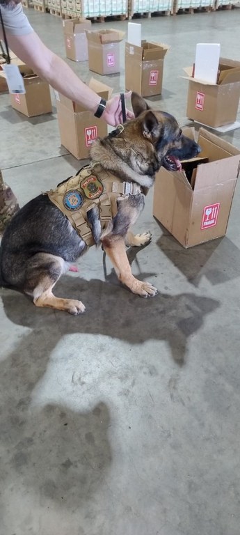 WhatsApp Image 2025-11-18 at 09.58.35.jpeg