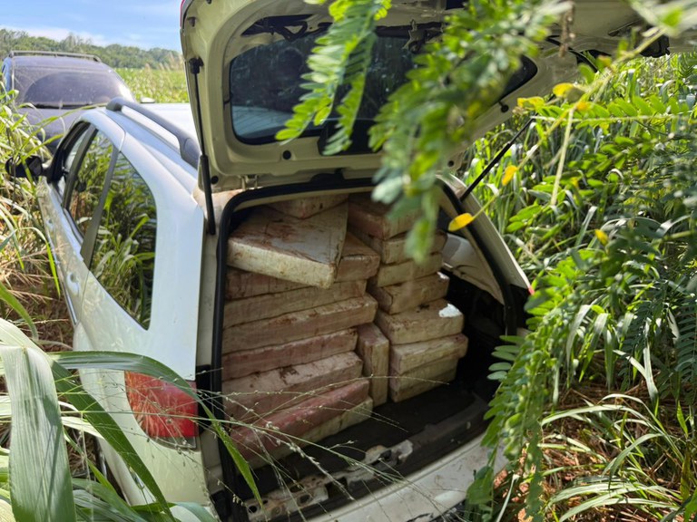 WhatsApp Image 2025-11-28 at 00.10.27.jpeg