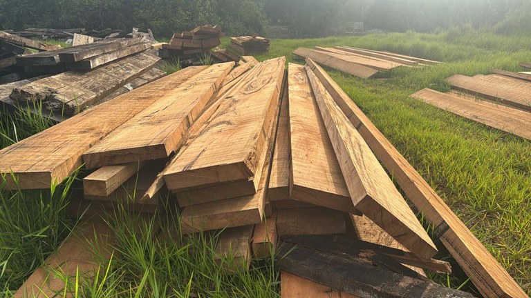 WhatsApp Image 2025-11-19 at 11.57.10.jpeg