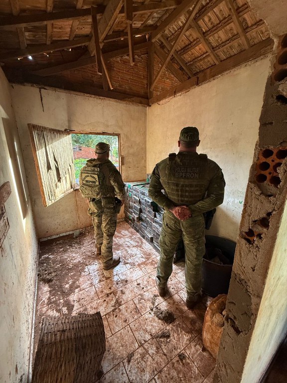 WhatsApp Image 2025-11-12 at 12.33.11.jpeg