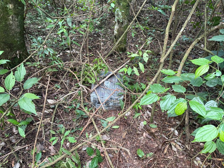 WhatsApp Image 2025-11-15 at 10.50.22.jpeg