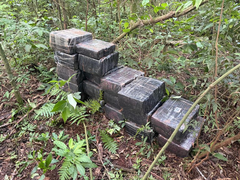 WhatsApp Image 2025-11-15 at 10.50.24 (1).jpeg