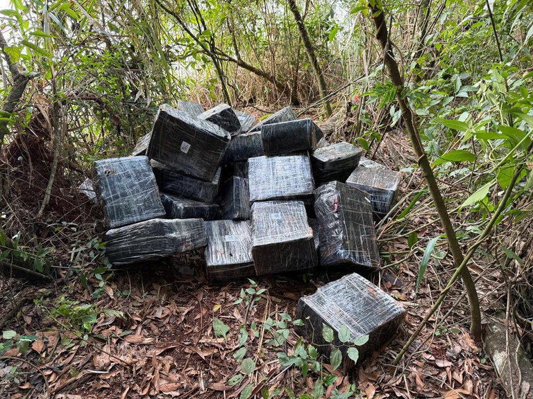 WhatsApp Image 2025-11-15 at 10.50.24.jpeg