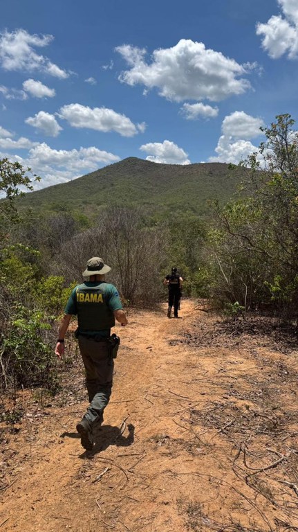 WhatsApp Image 2025-11-05 at 14.37.11.jpeg