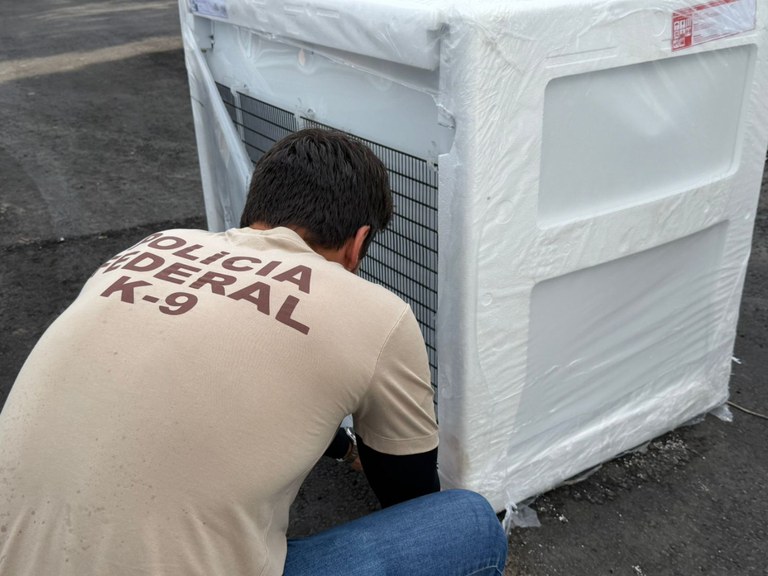 WhatsApp Image 2025-12-13 at 16.49.51.jpeg