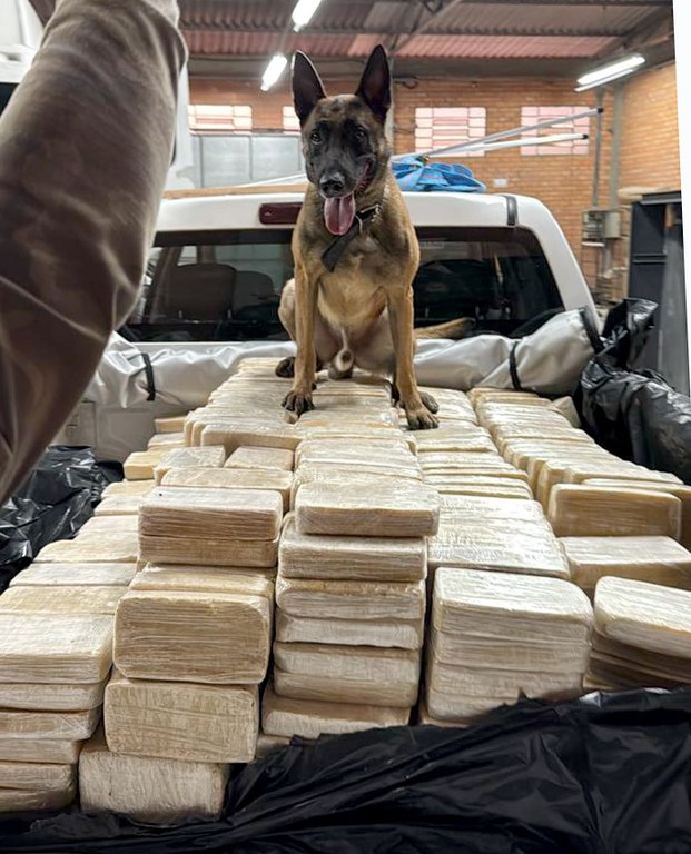 WhatsApp Image 2025-12-04 at 06.24.40.jpeg