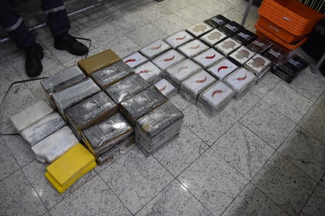 WhatsApp Image 2025-12-01 at 10.44.43.jpeg