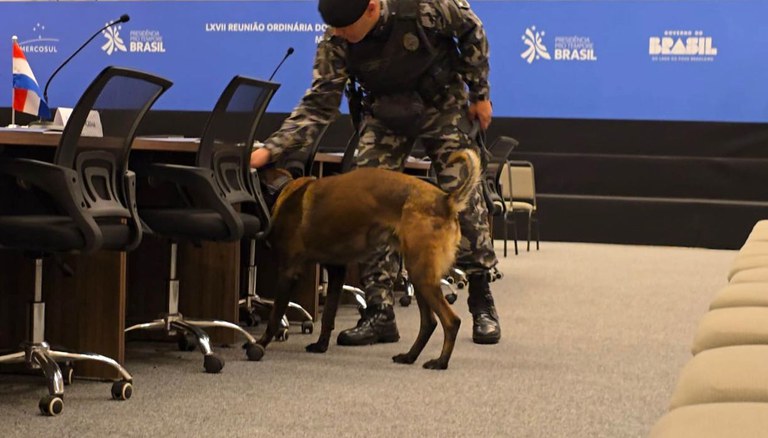 WhatsApp Image 2025-12-19 at 08.18.16 (1).jpeg