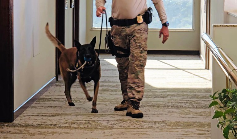 WhatsApp Image 2025-12-19 at 08.18.16.jpeg