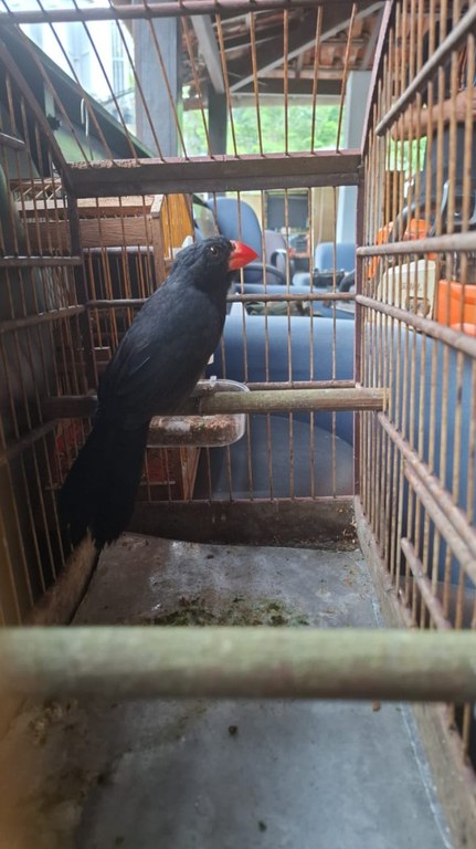 WhatsApp Image 2025-12-17 at 13.38.39.jpeg