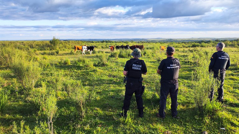 WhatsApp Image 2025-12-02 at 07.06.18.jpeg