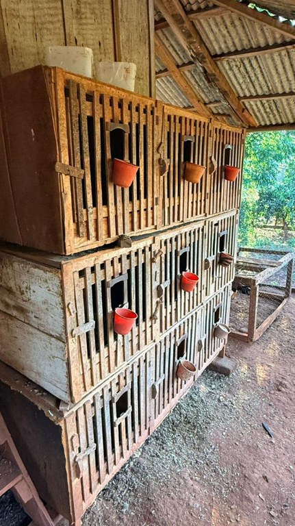 WhatsApp Image 2025-12-18 at 11.31.28.jpeg