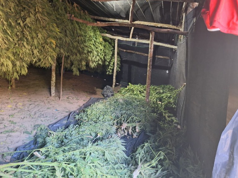 WhatsApp Image 2025-12-24 at 16.44.20 (2).jpeg