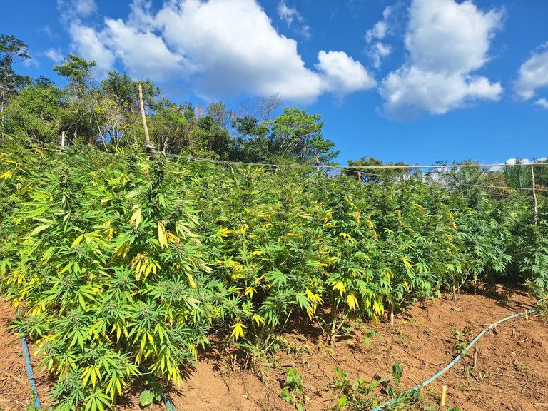 WhatsApp Image 2025-12-24 at 16.44.20.jpeg