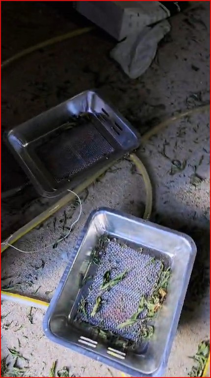 WhatsApp Image 2025-12-24 at 16.44.21.jpeg