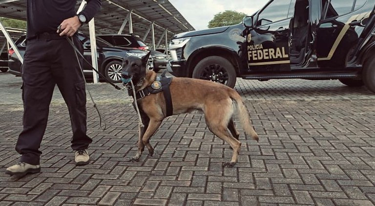 WhatsApp Image 2025-12-18 at 06.18.29.jpeg