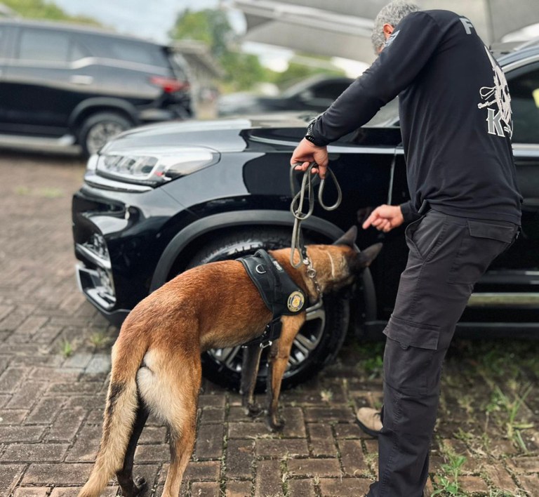 WhatsApp Image 2025-12-18 at 06.19.20.jpeg