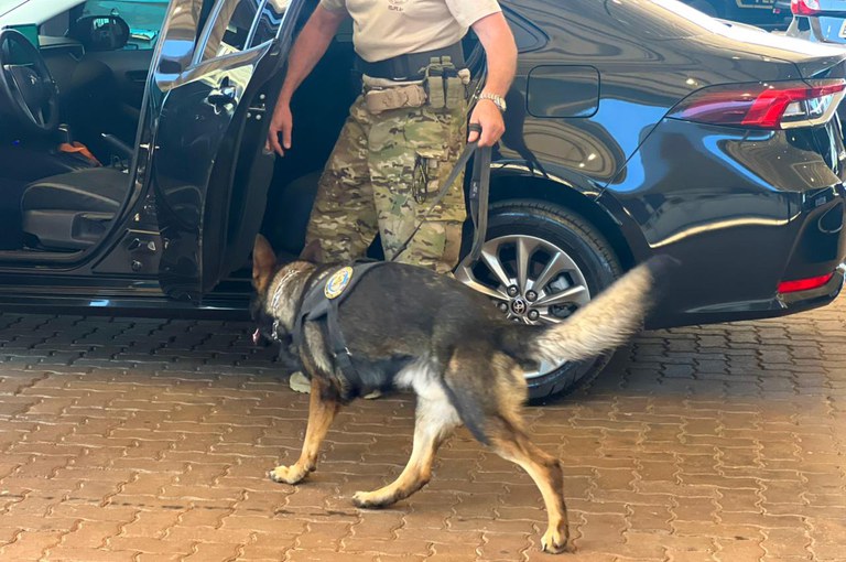 WhatsApp Image 2025-12-19 at 19.54.52.jpeg