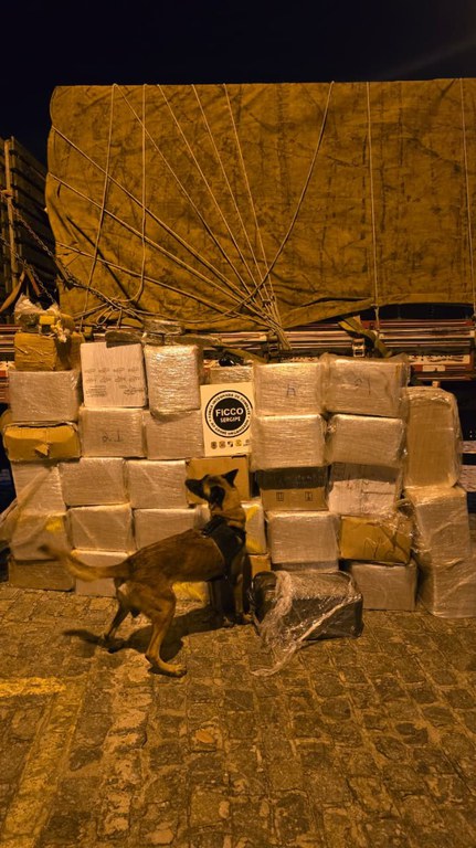 WhatsApp Image 2026-01-27 at 08.33.04.jpeg