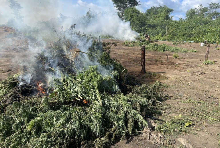 WhatsApp Image 2026-01-26 at 17.18.37 (1).jpeg