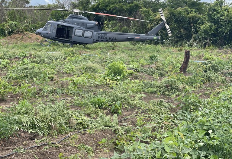 WhatsApp Image 2026-01-26 at 17.18.38.jpeg