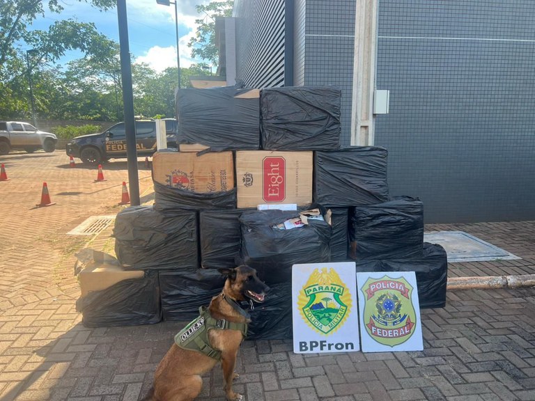 WhatsApp Image 2026-01-16 at 09.18.50.jpeg