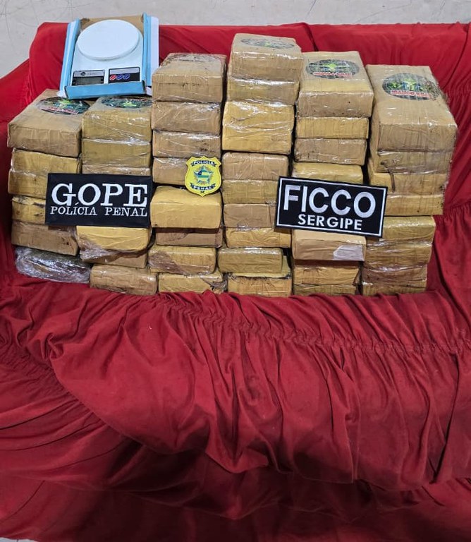 WhatsApp Image 2026-02-12 at 07.55.29.jpeg