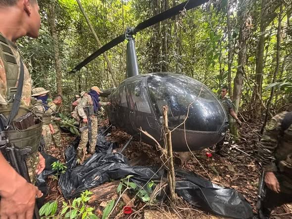 WhatsApp Image 2026-02-17 at 15.22.30.jpeg